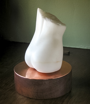 Torso
